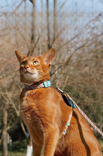 Adjustable Cat Harness & Leash