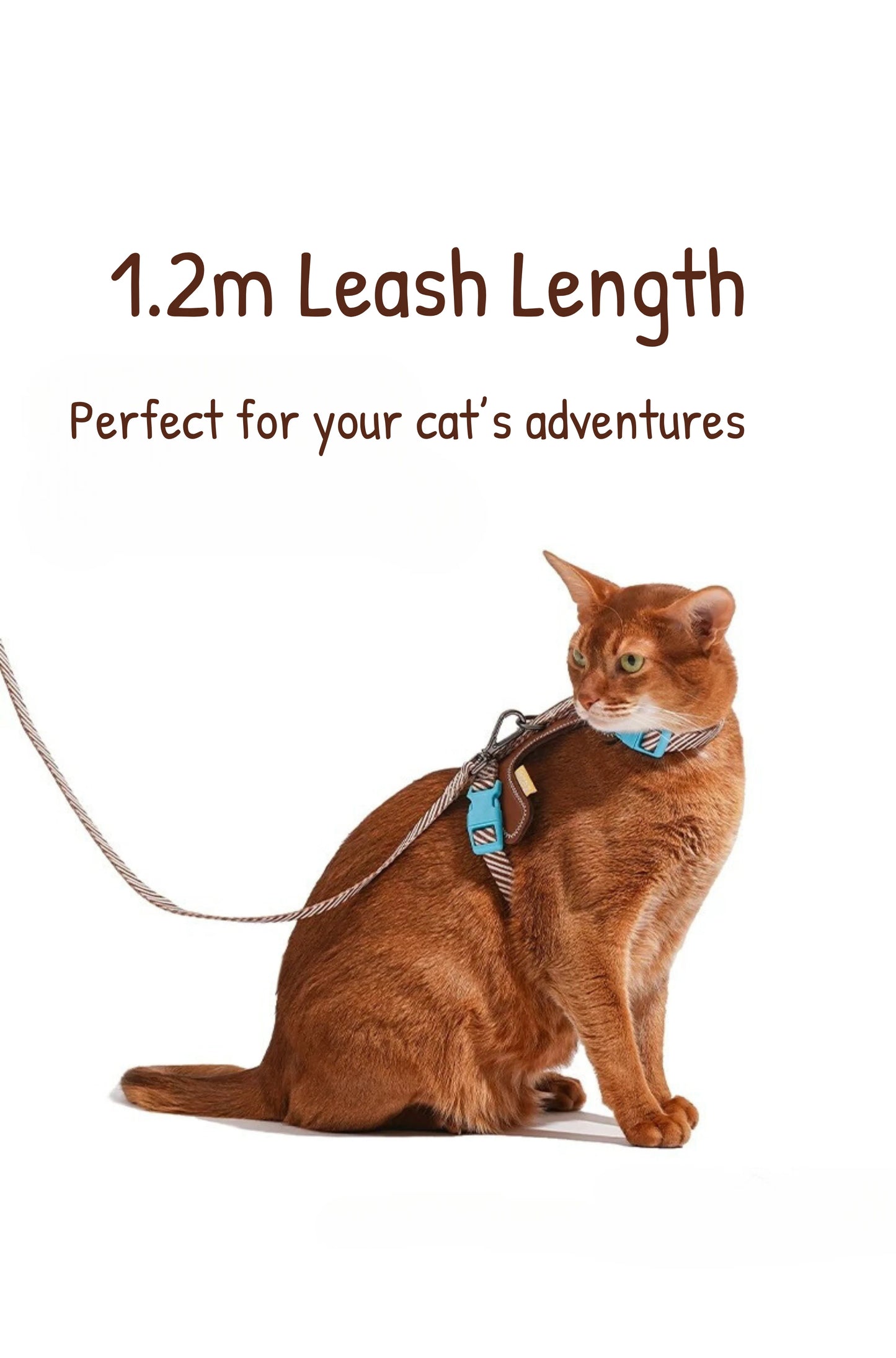 Adjustable Cat Harness & Leash