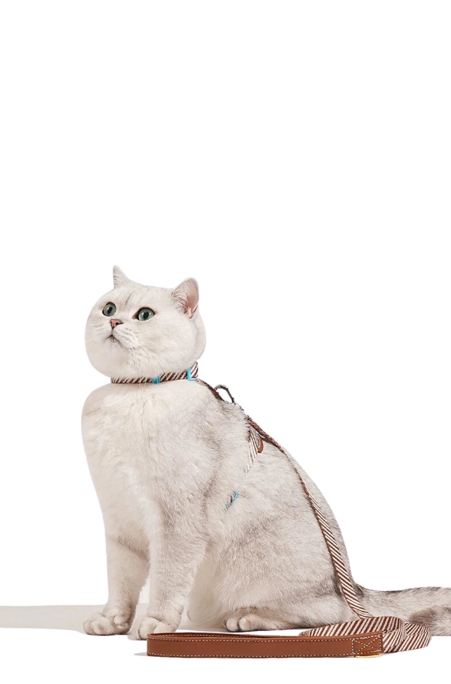 Adjustable Cat Harness & Leash