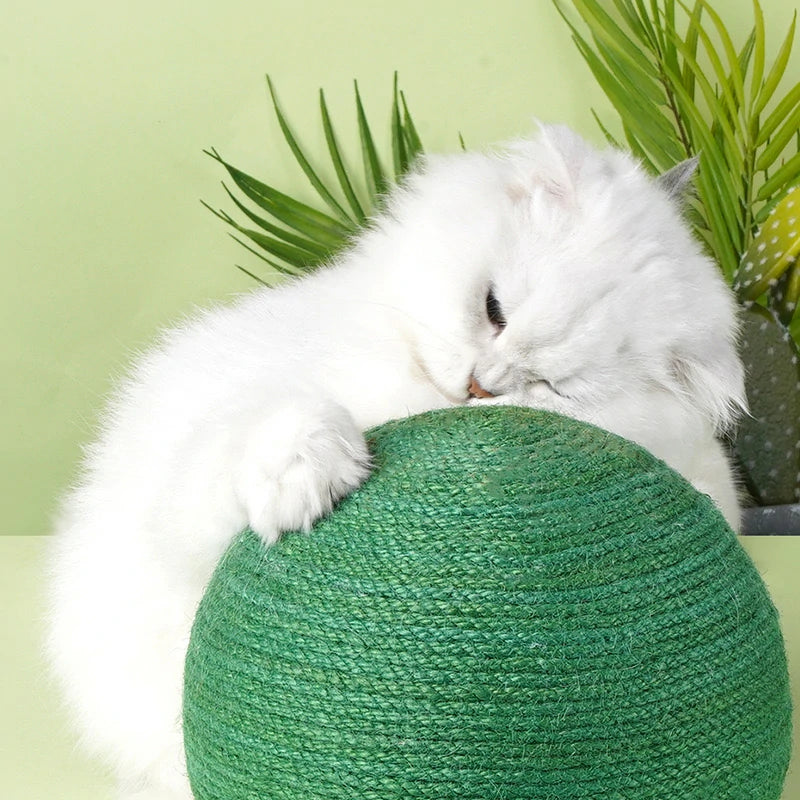 Cactus Cat Scratcher