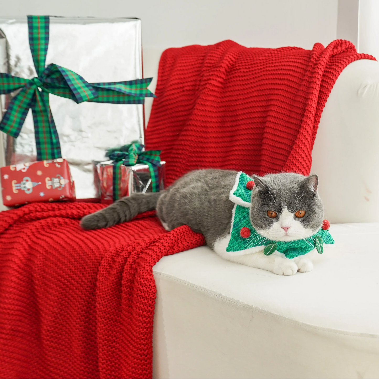 Christmas Berry Festive Holiday Cat Scarf