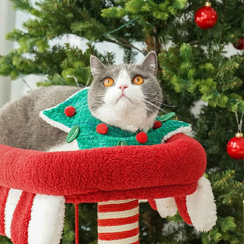 Christmas Berry Festive Holiday Cat Scarf