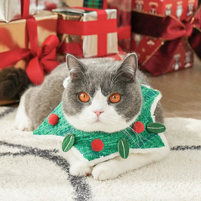 Christmas Berry Festive Holiday Cat Scarf