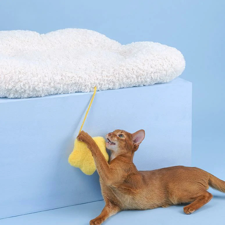 Cloud Cat Bed Winter Pet Mat