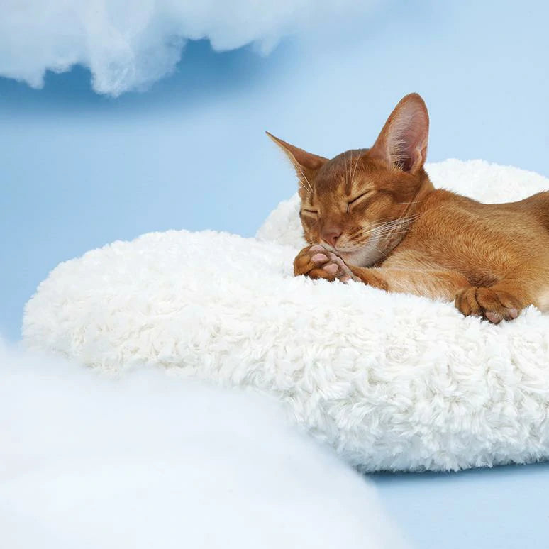 Cloud Cat Bed Winter Pet Mat