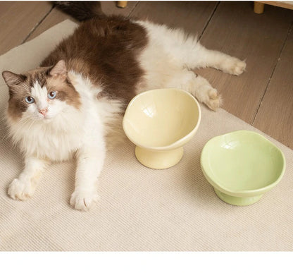 Petal Ceramic Elevated Cat Bowl