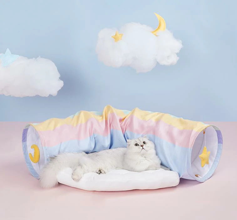 Rainbow Cat Tunnel Bed Combo